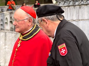 Lourdes cardinal