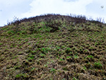 Motte summit from inner ditch